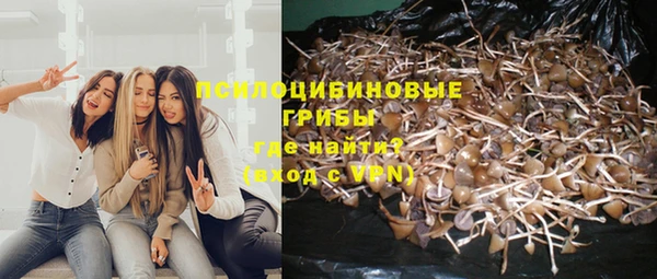 гашик Армянск