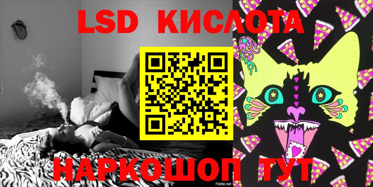где можно купить наркотик  Наркотические марки 1,8мг  Вход с VPN  Гусев 