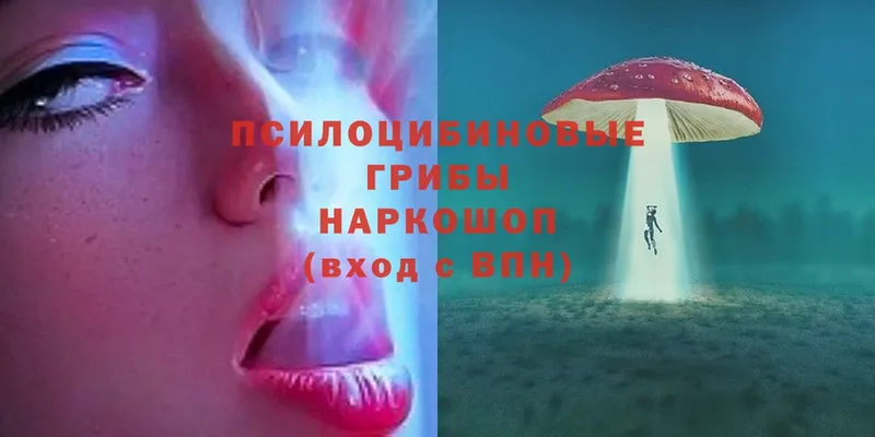 Псилоцибиновые грибы Magic Shrooms  Гусев 