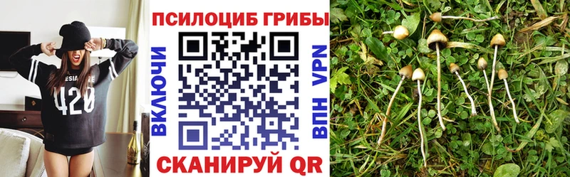 OMG зеркало  Гусев  Галлюциногенные грибы прущие грибы 