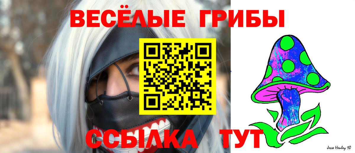 где можно купить   Гусев  Псилоцибиновые грибы Psilocybine cubensis 