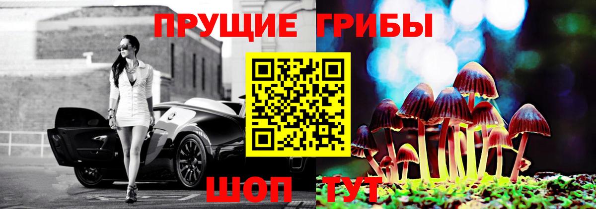 Галлюциногенные грибы MAGIC MUSHROOMS Гусев