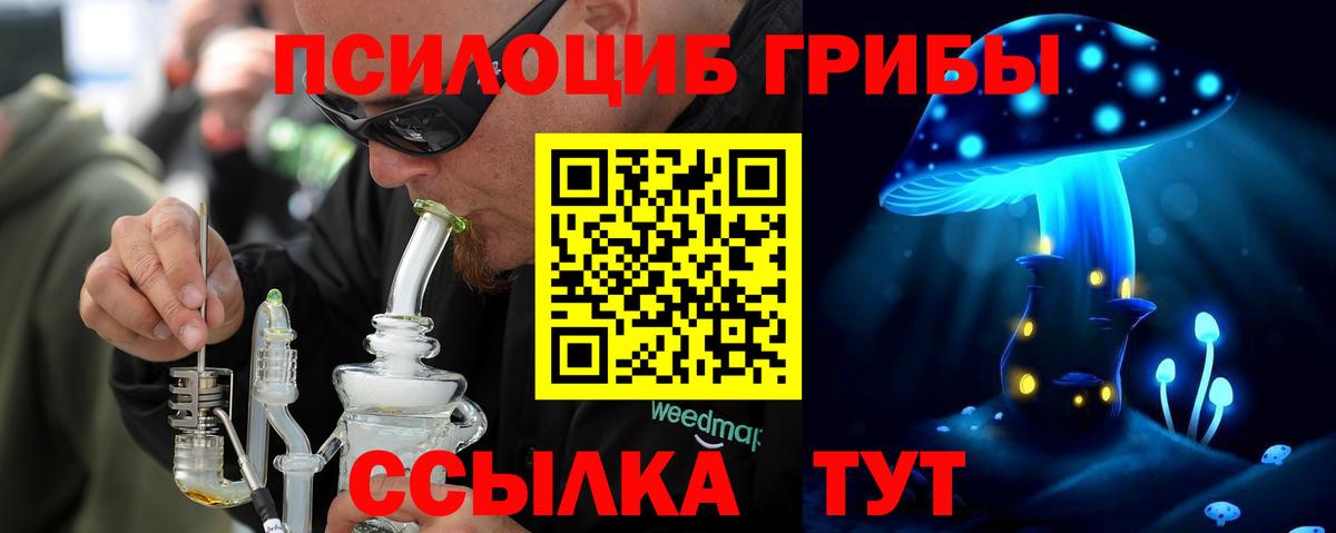 Псилоцибиновые грибы Psilocybe  как найти наркотики  Гусев  Вход с VPN 